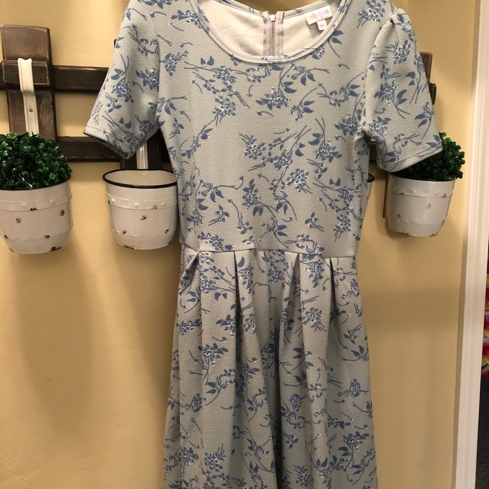 LuLaRoe Amelia Dress